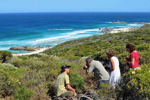 Margaret River Coastal And Wildlife Eco Trip From Busselton Or Dunsborough - Accommodation Gladstone 2