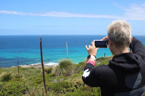 Margaret River Coastal And Wildlife Eco Trip From Busselton Or Dunsborough - Accommodation Gladstone 3