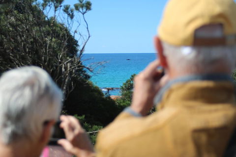 Margaret River Coastal And Wildlife Eco Trip From Busselton Or Dunsborough - Accommodation Gladstone 5